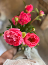 PREORDER: Peony Bare Roots (Ships October 2026)