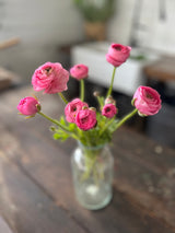PREORDER: Ranunculus Corms (Ships Fall 2026)