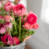 Spring Flower Subscription