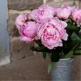 Spring Flower Subscription